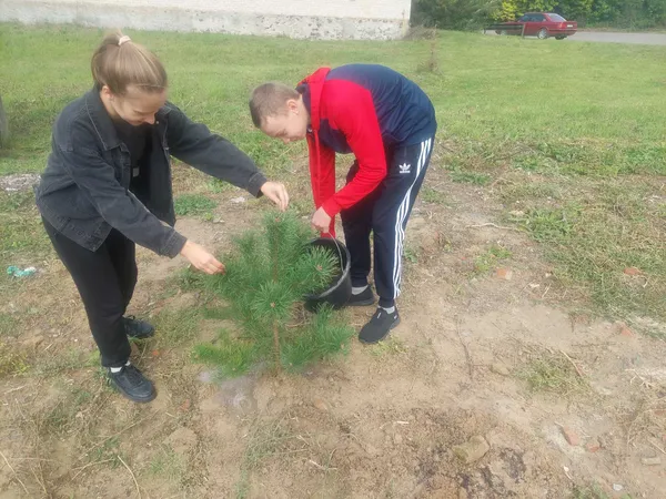 У Хорлупах на місці закинутого складу заклали новий сквер (фото)