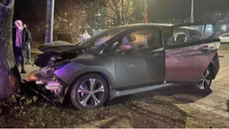 У Луцьку на Соборності авто врізалося у дерево (фото)
