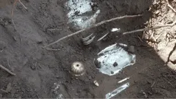У Польщі знайшли унікальний скарб, який заховали від радянських солдатів