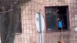 У Луцьку бабуся продовжує залазити в квартиру через вікно (відео)