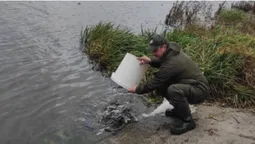 У Ковельське водосховище запустили майже тонну риби (фото)