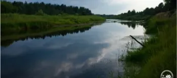 Зубатий носар і всеядний язь: у річках Полісся знайшли червонокнижних риб (фото)