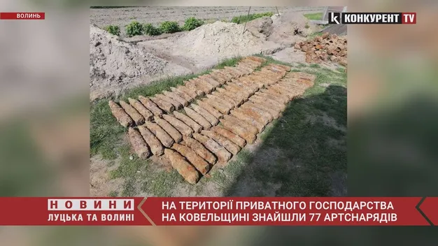На території приватного господарства на Ковельщині знайшли 77 артснарядів (фото, відео)