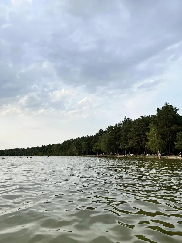 Ніжна, як молоко: на Волині є озеро зі «срібною» водою (фото)