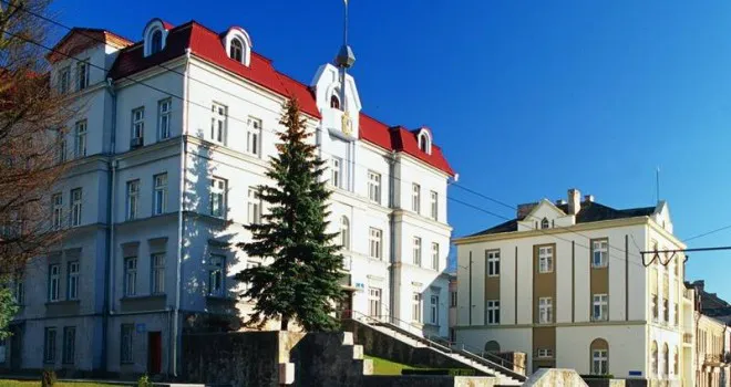 Який вигляд мала Луцька міська рада майже століття тому (фото)