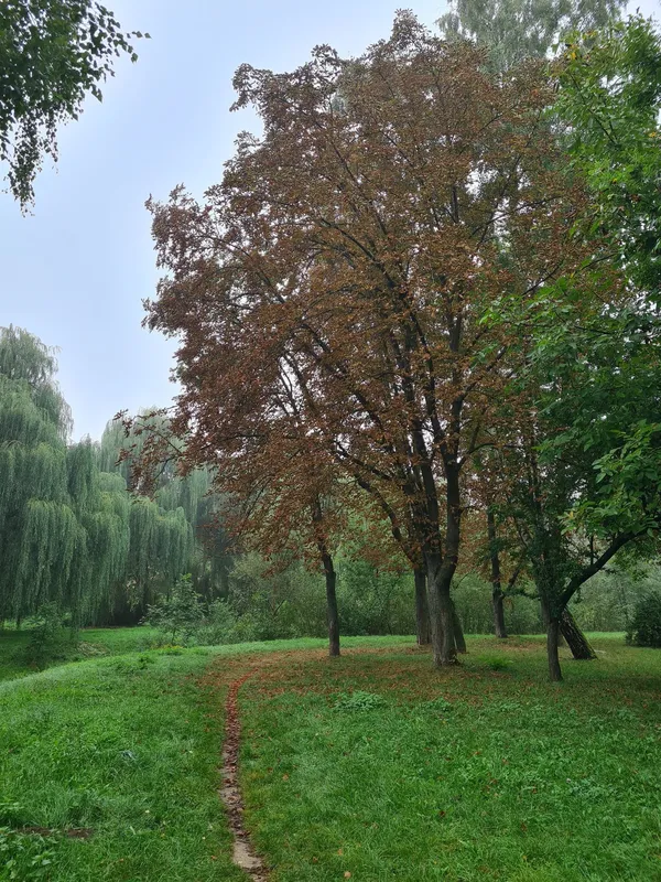 Луцьк у вихідний під теплим осіннім небом (фото)