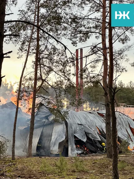 На Волині – масштабна пожежа на деревообробному підприємстві (фото)