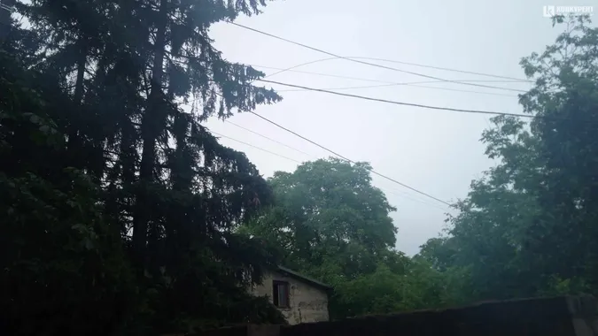 У Луцьку на Клима Савури під час грози впало дерево та зірвало лінію електропередач (фото)