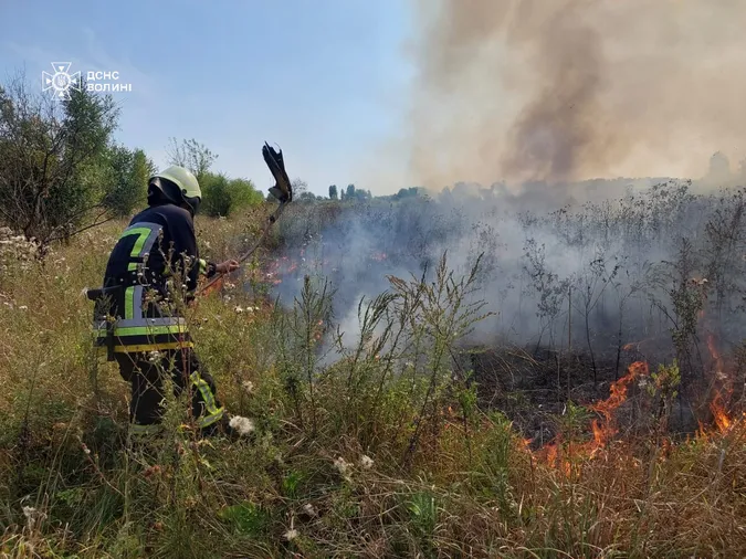 Паліїв шукають: на Волині за добу сталося п'ять пожеж у полях (фото)
