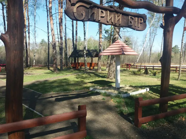 «Лісові» подарунки: як волинські села безкоштовно отримують «туристичні родзинки»