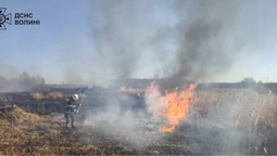 Понад два гектари вогню: на Волині знову палала суха рослинність (фото)