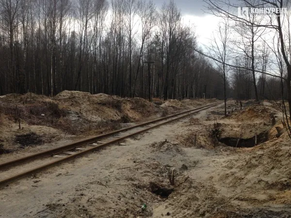 «Бурштиновий клондайк» на Волині: зруйнована залізниця та болотиста пустка замість лісів