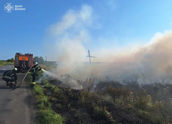 Чотири пожежі за добу: на Волині люди масово палять сухостій