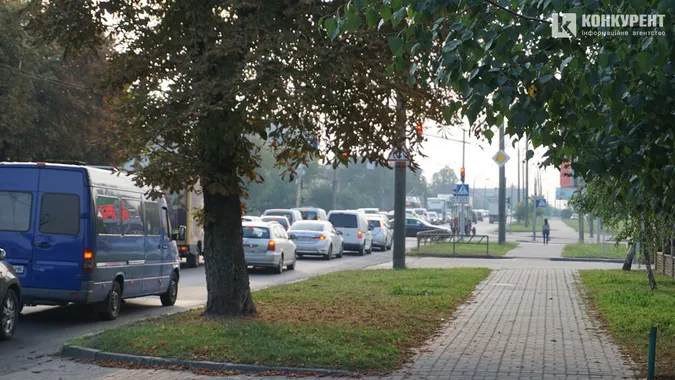 Квіти, песики, каштани: Дубнівська у Луцьку восени (фото)