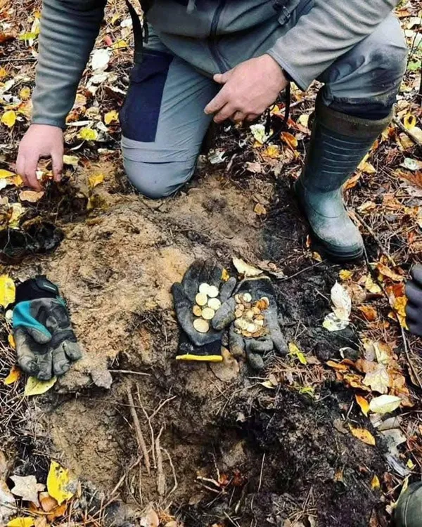 Американські долари і царські рублі: у польському лісі знайшли у бляшанці 70 золотих монет (фото)