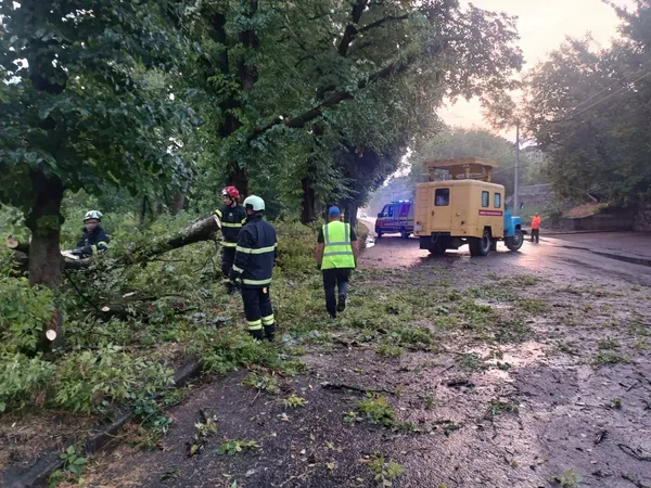 Рятувальники ліквідовували наслідки негоди у кількох районах області (фото)