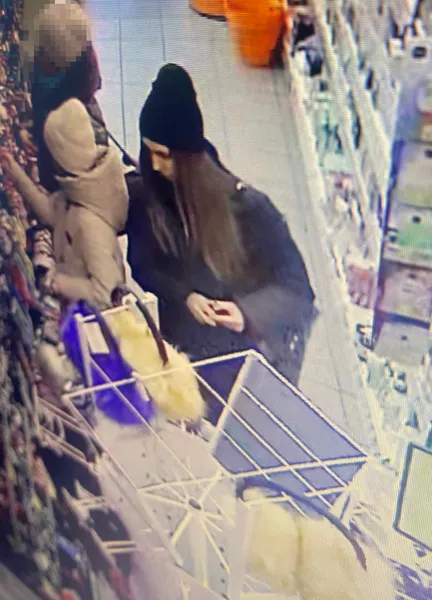 Крадіжки у Луцьку: поліція встановлює особи чоловіка й жінки (фото, відео)