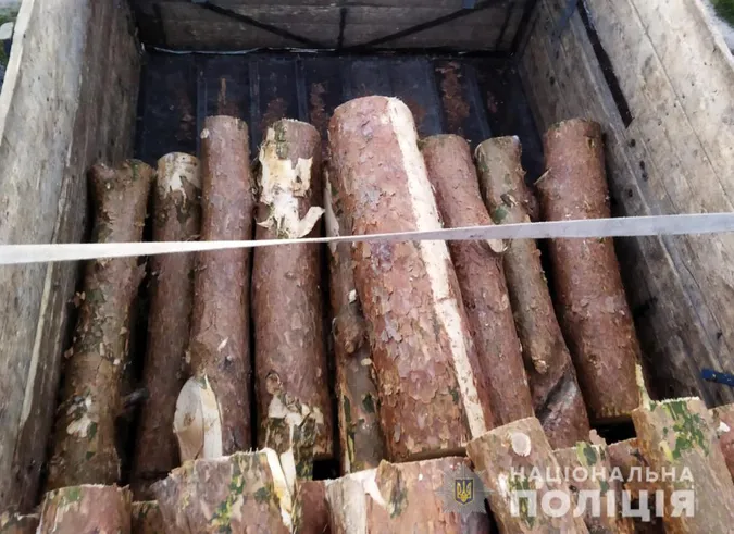 На Волині у водія, який перевозив «ліві» колоди, вилучили вантажівку (фото, відео)