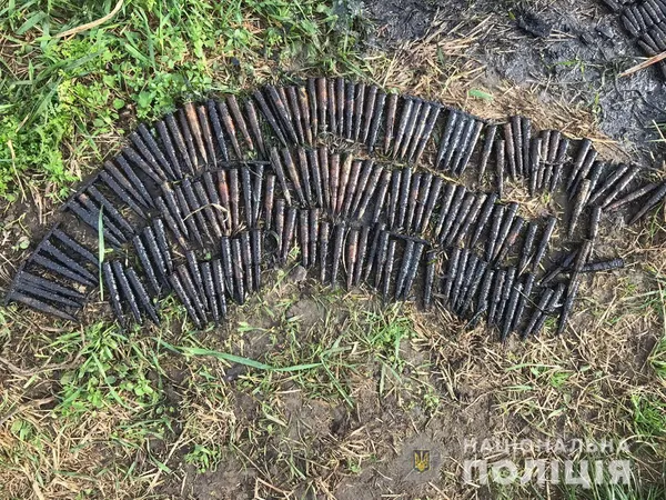 Карабін, набої і боєприпаси: у волинянина знайшли арсенал зброї (фото)