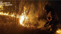 Горіли суха трава, чагарники й очерет: на Волині загасили 5 пожеж (фото)