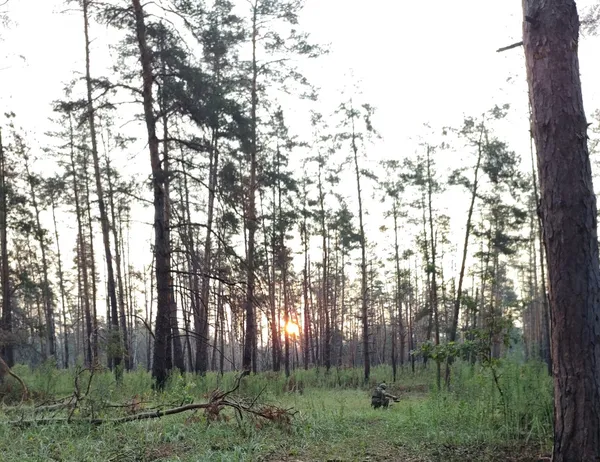 Як волинський екіпаж FPV-дронів доставляє «делікатеси» для орків (репортаж)