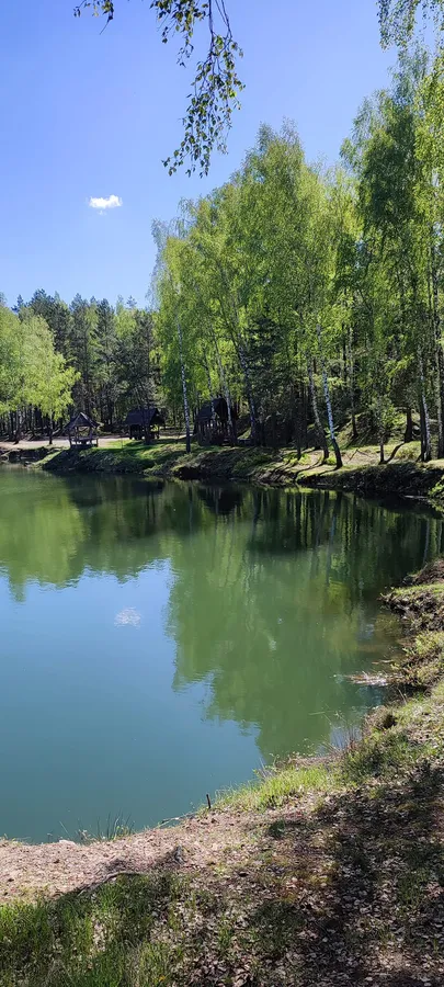 «Мальдіви» серед соснового лісу: де на Поліссі ховається озеро з цілющою водою (фото)