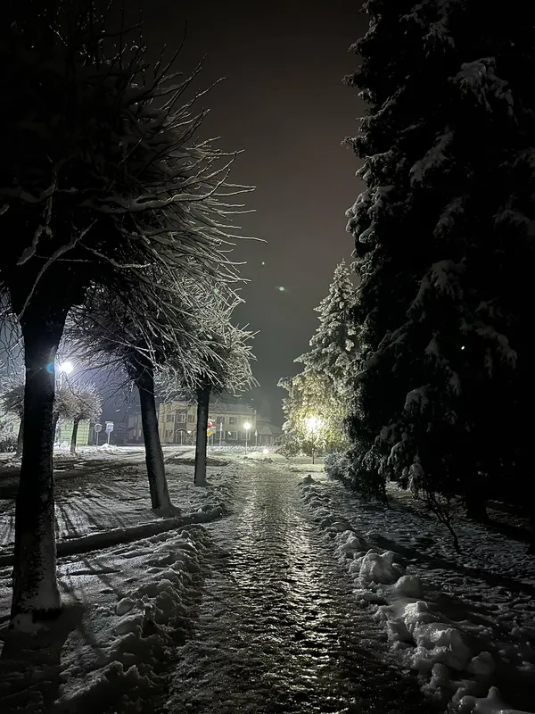 Сніг, бурульки і гірлянди: магічний Любешів на зимових фото