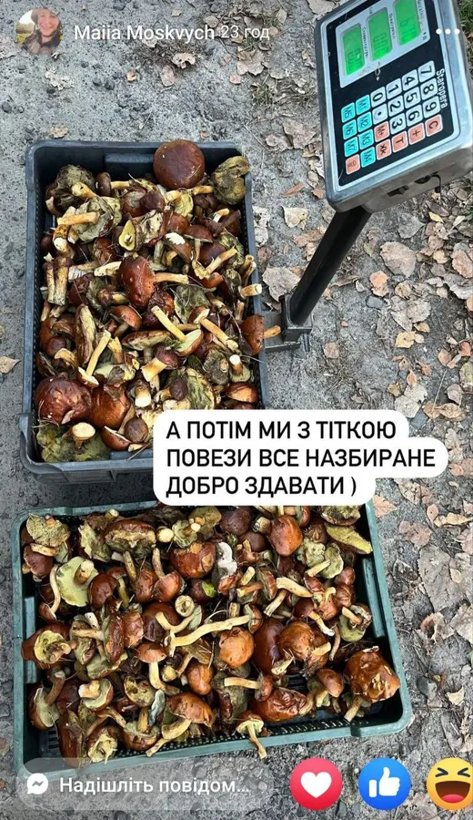 Вторгувала 500 гривень: військова з Луцька розповіла, в яку ціну приймають гриби (фото)