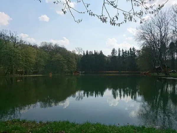 Шашлики, риболовля, водойми: де відпочити біля Луцька (локації та ціни)