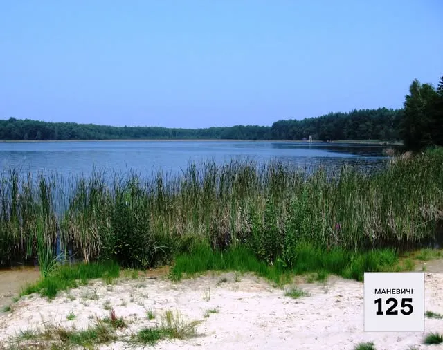 У лісі на Волині заховалося озеро з червонуватою водою, оточене дюнами (фото)