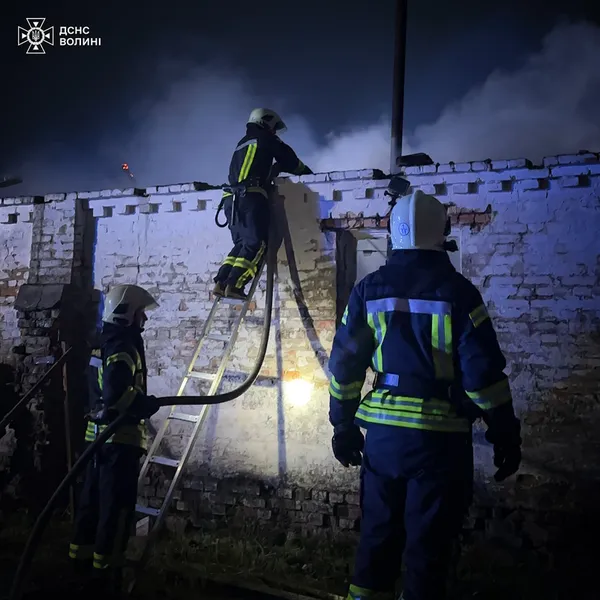 Як гасили жахливу пожежу на Омелянику в Луцьку (фото, відео)