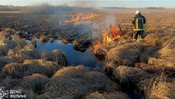 На Волині за добу вигорів понад гектар землі: рятувальники назвали ймовірну причину (фото)