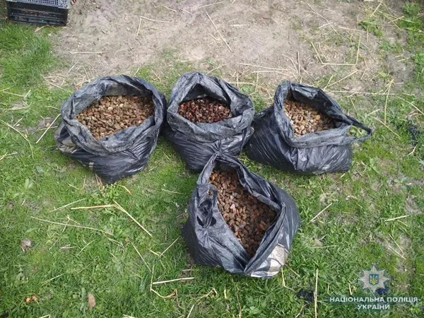 На Волині «накрили» підпільні цехи з обробки бурштину (фото)