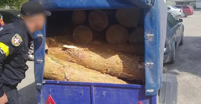 На Волині водій «запакував» у причеп майже два десятки соснових колод (фото, відео)