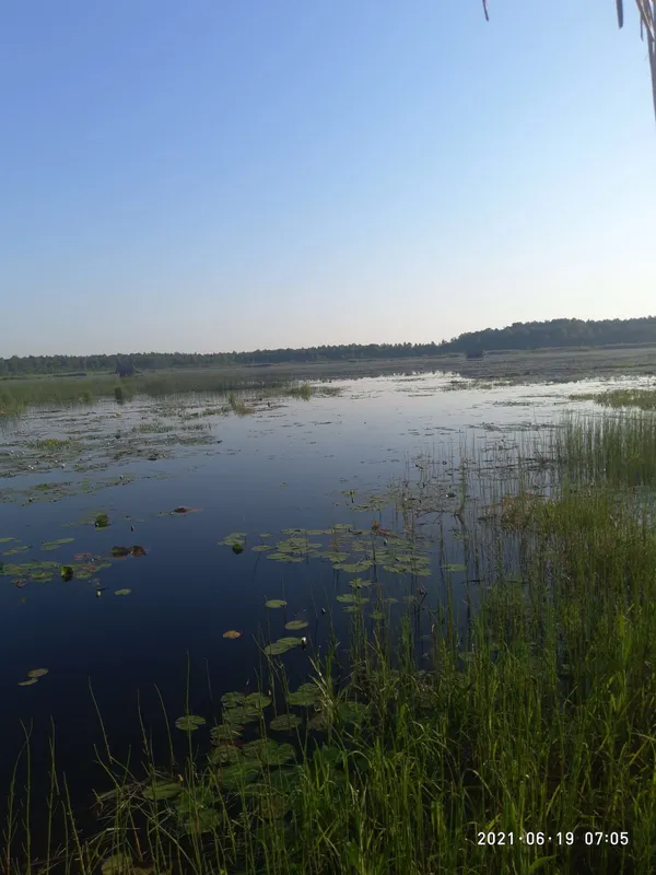 Чинили опір: на Волині зловили рибалок з острогами (фото)