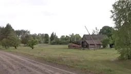Лиси й олені підходять до хат: як на хуторі на Волині живуть семеро людей (фото, відео)