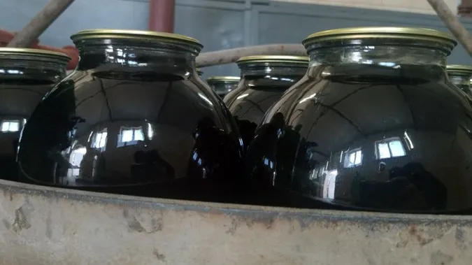 Закривають сезон: як на Волині заготовлюють березовий сік (фото, відео)