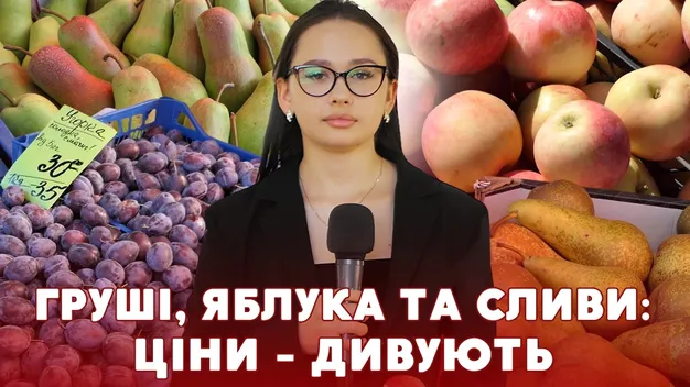 Сливовий бум: скільки коштують сезонні фрукти на луцькому ринку (відео)