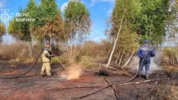 На Волині рятувальники другу добу гасять пожежу торфу (фото)