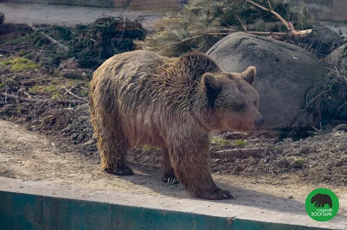 Як мешканці Луцького зоопарку ніжаться на весняному сонці (фото)