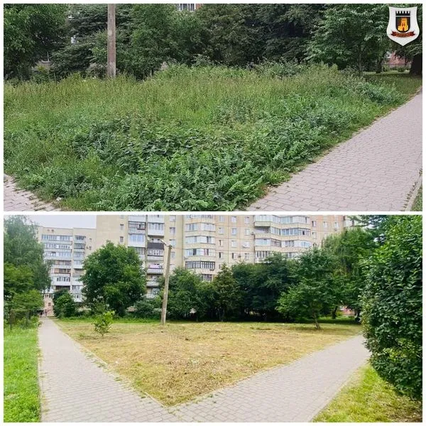 У Луцьку мунвартівці дали прочухана за траву (фото)