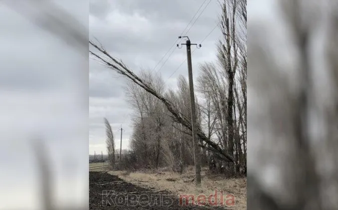 Через падіння дерева більша частина Ковеля залишилася без води