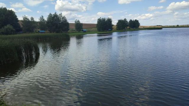 На Волині виставили на аукціон два ставки для оренди: можна займатися рибництвом