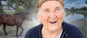 Ліс, Стир і 400-річний дуб: як живе село Куликовичі на Волині (фото, відео)