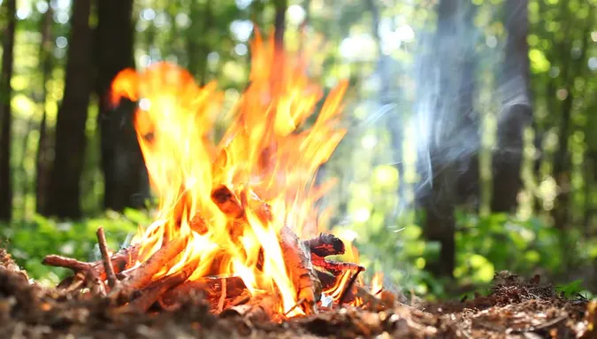 На Волині – найвищий клас пожежної небезпеки: де дозволено відпочивати (карта)