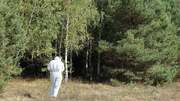 Розкладуть майже 400 тисяч доз: на Волині вакцинують диких тварин (фото)