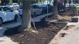 У Луцьку на проспекті Волі продовжують садити траву і дерева (фото)