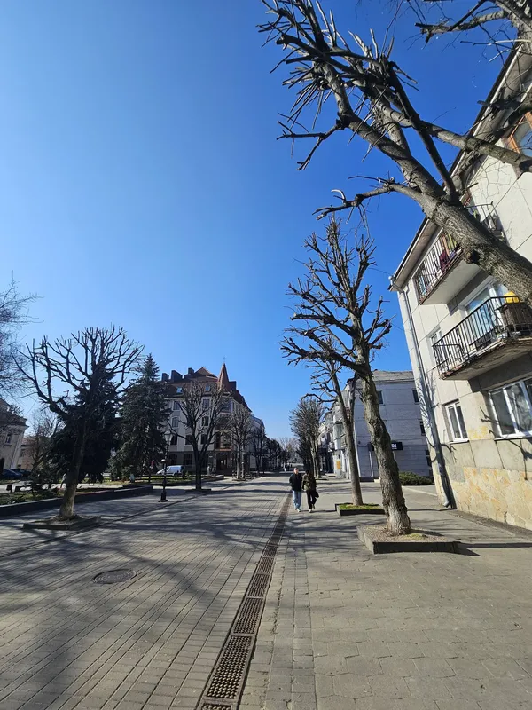 Пригріває сонце і цвітуть бруньки: мережу замилували фото весняного Луцька (фото)