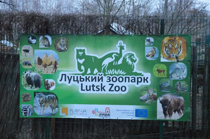 Як «Луцький зоопарк» готується до зими (фото)