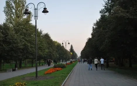 У луцькому парку виявили 12 літніх майданчиків із порушеннями